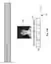 Fig. 137 - Neuroplasticity games