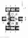 Fig. 149 - Neuroplasticity games