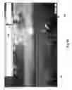 Fig. 69 - Neuroplasticity games