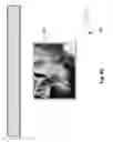 Fig. 91 - Neuroplasticity games