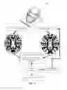 Fig. 12 - SURGICAL TRAINING AND IMAGING BRAIN PHANTOM