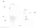 Fig. 10 - Augmented campaign tools