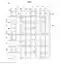 Fig. 03 - Display panel including a plurality of sub-pixel