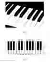 Fig. 02 - Keyboard for musical instruments having improved ergonomics