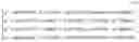 Fig. 06 - Audio Encoding/Decoding based on an Efficient Representation of Auto-Regressive Coefficients