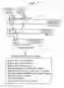 Fig. 06 - File producing method, file producing device, and recording medium