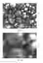 Fig. 10 - REACTANT, HEATING DEVICE, AND HEATING METHOD
