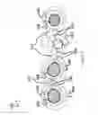 Fig. 05 - Readily strippable cable