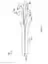 Fig. 12 - Readily strippable cable