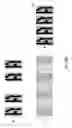Fig. 04 - Method and system for adaptively scanning a sample during electron beam inspection