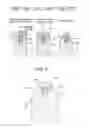 Fig. 05 - Discharge lamp