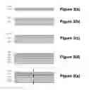 Fig. 04 - Package for high-power semiconductor devices