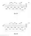 Fig. 06 - Semiconductor devices, multi-die packages, and methods of manufacture thereof