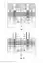 Fig. 06 - Memory device with manufacturable cylindrical storage node