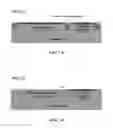 Fig. 27 - Monolithic integration techniques for fabricating photodetectors with transistors on same substrate