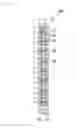 Fig. 14 - Lighting device