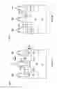 Fig. 04 - Method of forming strained structures of semiconductor devices