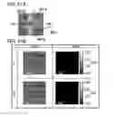 Fig. 52 - Semiconductor device and method of manufacturing the same