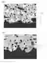 Fig. 03 - CRYSTALLINE SILICON SOLAR CELL AND METHOD FOR PRODUCING SAME