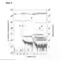 Fig. 06 - Light-receiving device and method for producing the same