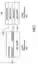 Fig. 07 - Materials, systems and methods for optoelectronic devices