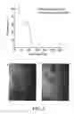 Fig. 16 - Materials, systems and methods for optoelectronic devices