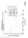 Fig. 19 - Materials, systems and methods for optoelectronic devices