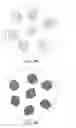 Fig. 08 - Method of manufacturing light emitting device