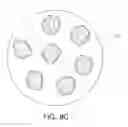 Fig. 09 - Method of manufacturing light emitting device