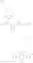 Fig. 101 - Conjugated polymers