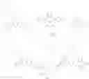 Fig. 136 - Conjugated polymers