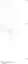 Fig. 202 - Conjugated polymers