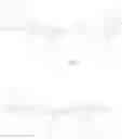 Fig. 80 - Conjugated polymers