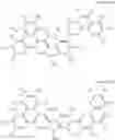 Fig. 69 - Phenanthroline-based compound and use thereof