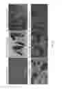 Fig. 03 - COMPLEX PNICTIDE METAL HALIDES FOR OPTOELECTRONIC APPLICATIONS