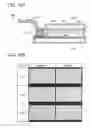 Fig. 19 - Display Module and Method for Manufacturing Display Module