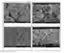 Fig. 01 - Fabricating method of lithium electrode and lithium secondary battery including the same