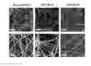 Fig. 01 - Method for preparing polyanion-carbon nanofiber composite cathode active material