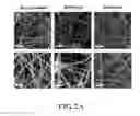 Fig. 03 - Method for preparing polyanion-carbon nanofiber composite cathode active material