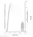 Fig. 16 - Cosolvent electrolytes for electrochemical devices