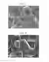 Fig. 06 - POSITIVE ELECTRODE, LITHIUM BATTERY INCLUDING THE SAME, AND METHOD OF MANUFACTURING THE POSITIVE ELECTRODE