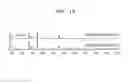 Fig. 09 - POSITIVE ELECTRODE, LITHIUM BATTERY INCLUDING THE SAME, AND METHOD OF MANUFACTURING THE POSITIVE ELECTRODE