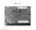Fig. 10 - POSITIVE ELECTRODE, LITHIUM BATTERY INCLUDING THE SAME, AND METHOD OF MANUFACTURING THE POSITIVE ELECTRODE