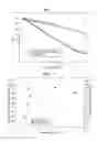 Fig. 04 - POSITIVE ACTIVE MATERIAL, LITHIUM BATTERIES INCLUDING THE POSITIVE ACTIVE MATERIAL, AND METHOD OF PREPARING THE POSITIVE ACTIVE MATERIAL