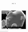 Fig. 06 - POSITIVE ACTIVE MATERIAL, LITHIUM BATTERIES INCLUDING THE POSITIVE ACTIVE MATERIAL, AND METHOD OF PREPARING THE POSITIVE ACTIVE MATERIAL