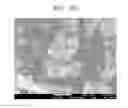 Fig. 05 - ANODE ACTIVE MATERIAL FOR LITHIUM SECONDARY BATTERY AND LITHIUM SECONDARY BATTERY INCLUDING THE ANODE ACTIVE MATERIAL