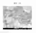 Fig. 06 - ANODE ACTIVE MATERIAL FOR LITHIUM SECONDARY BATTERY AND LITHIUM SECONDARY BATTERY INCLUDING THE ANODE ACTIVE MATERIAL