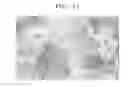 Fig. 14 - ANODE ACTIVE MATERIAL FOR LITHIUM SECONDARY BATTERY AND LITHIUM SECONDARY BATTERY INCLUDING THE ANODE ACTIVE MATERIAL