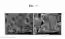 Fig. 09 - Positive active material, positive electrode including the same, and lithium secondary battery including the positive electrode