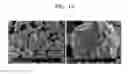 Fig. 14 - Positive active material, positive electrode including the same, and lithium secondary battery including the positive electrode